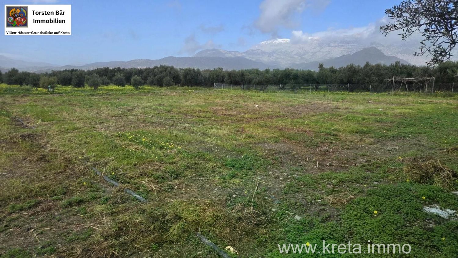 Foto der Immobilie (82786)