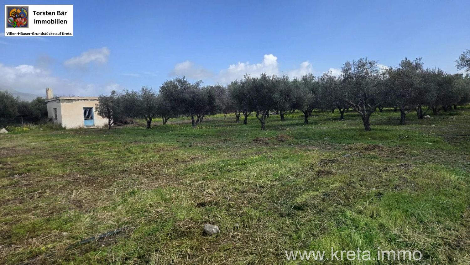 Foto der Immobilie (82785)