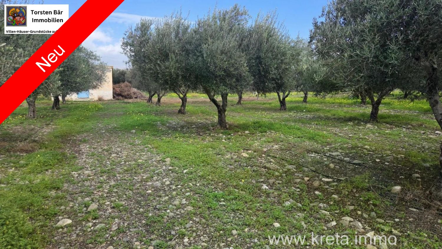 Foto der Immobilie (82780)