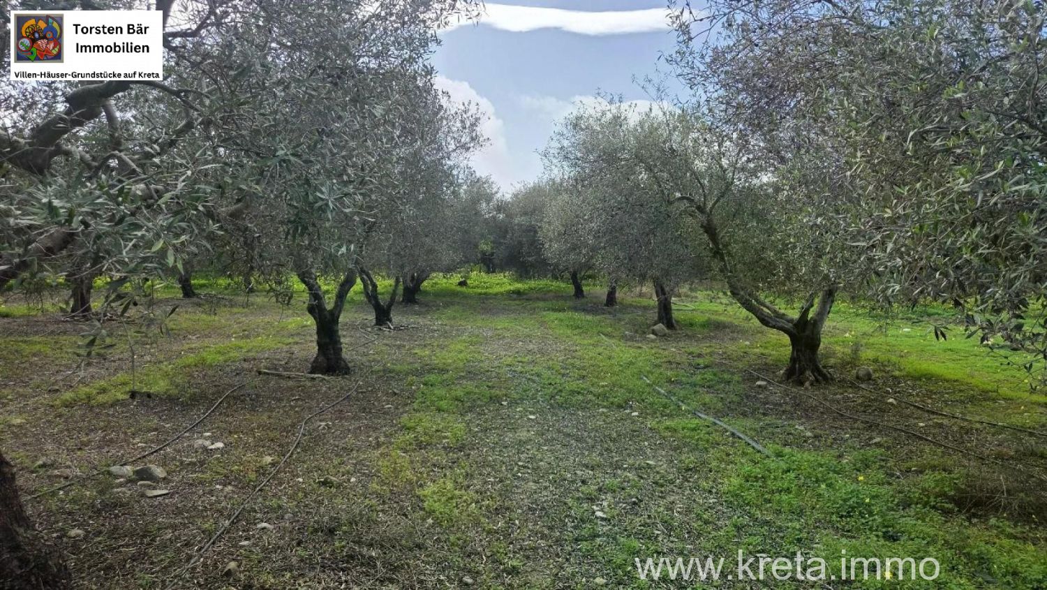 Foto der Immobilie (82790)