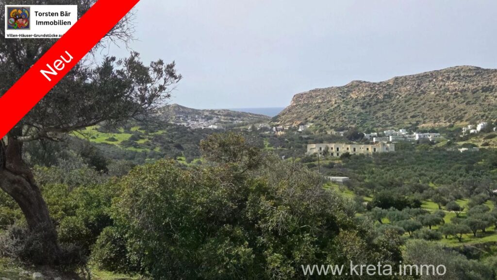 Foto der Immobilie (82792)