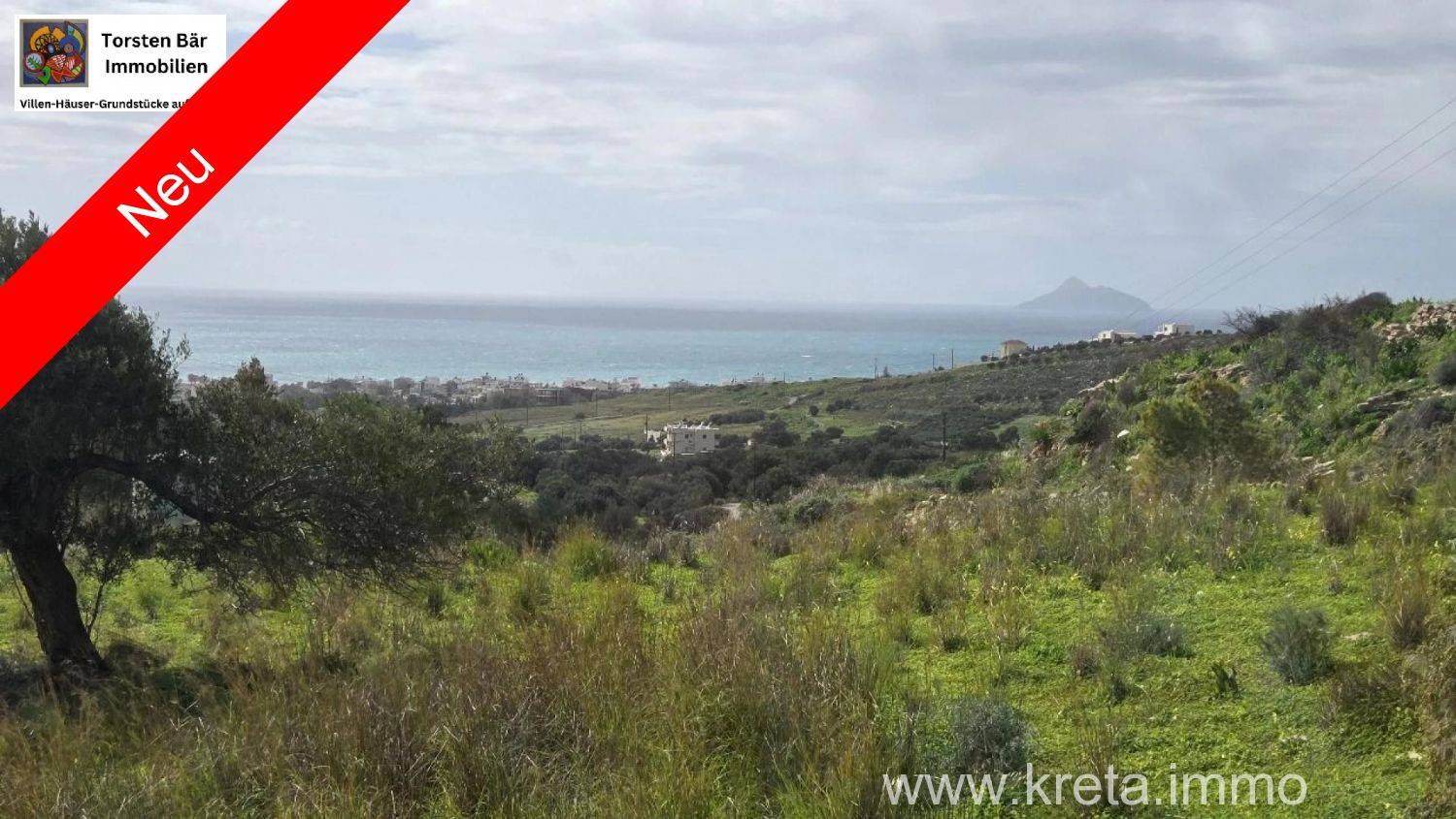 Foto der Immobilie (82802)