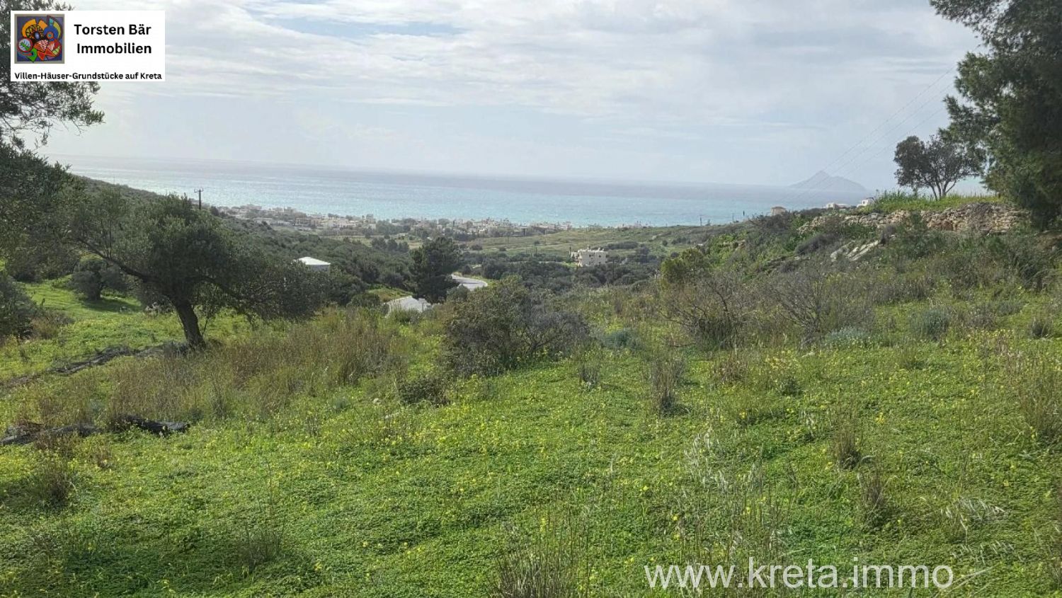 Foto der Immobilie (82804)