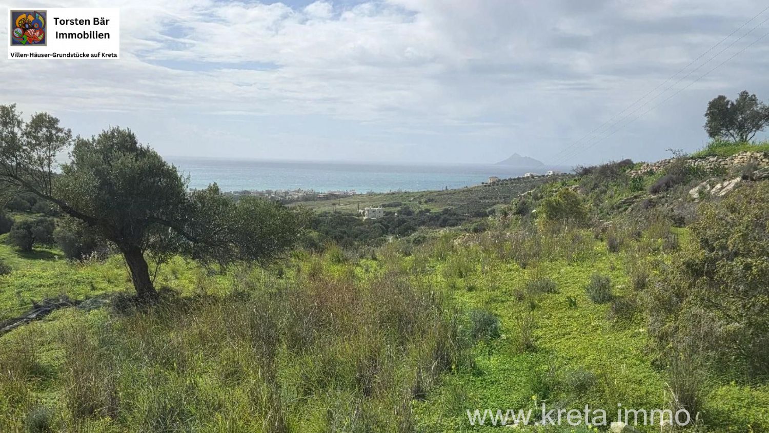 Foto der Immobilie (82805)