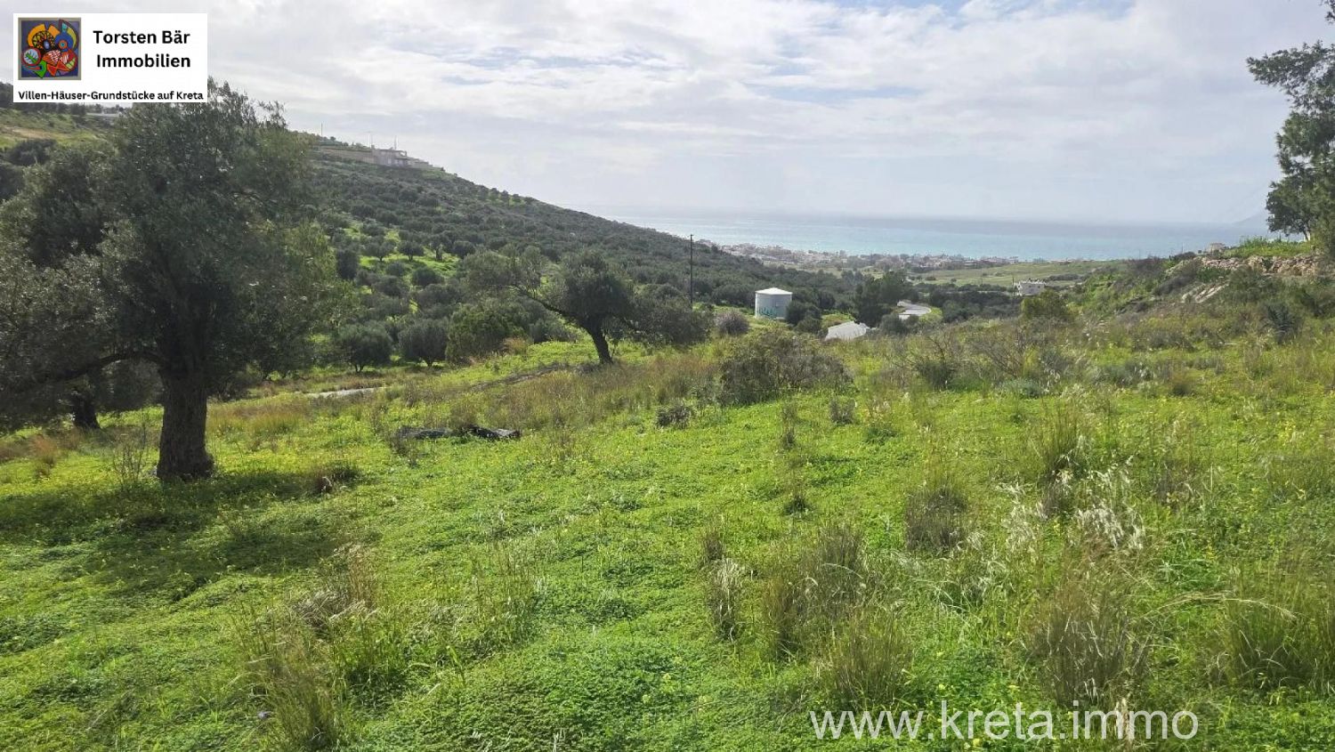 Foto der Immobilie (82806)