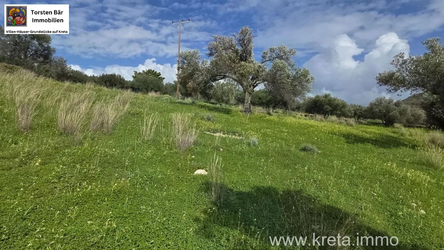 Foto der Immobilie (82807)