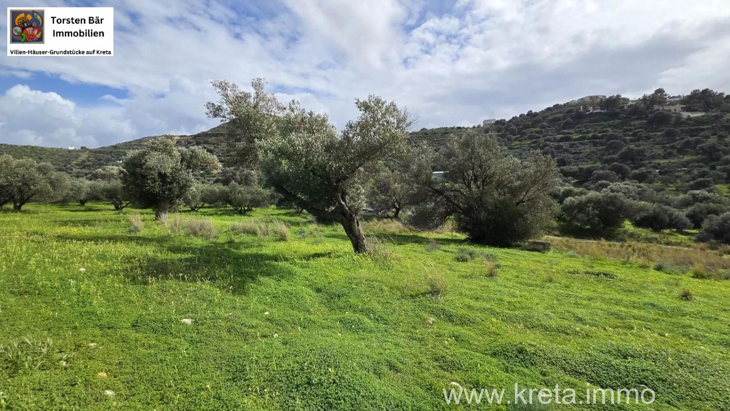 Foto der Immobilie (82808)