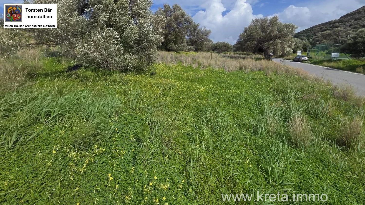 Foto der Immobilie (82809)