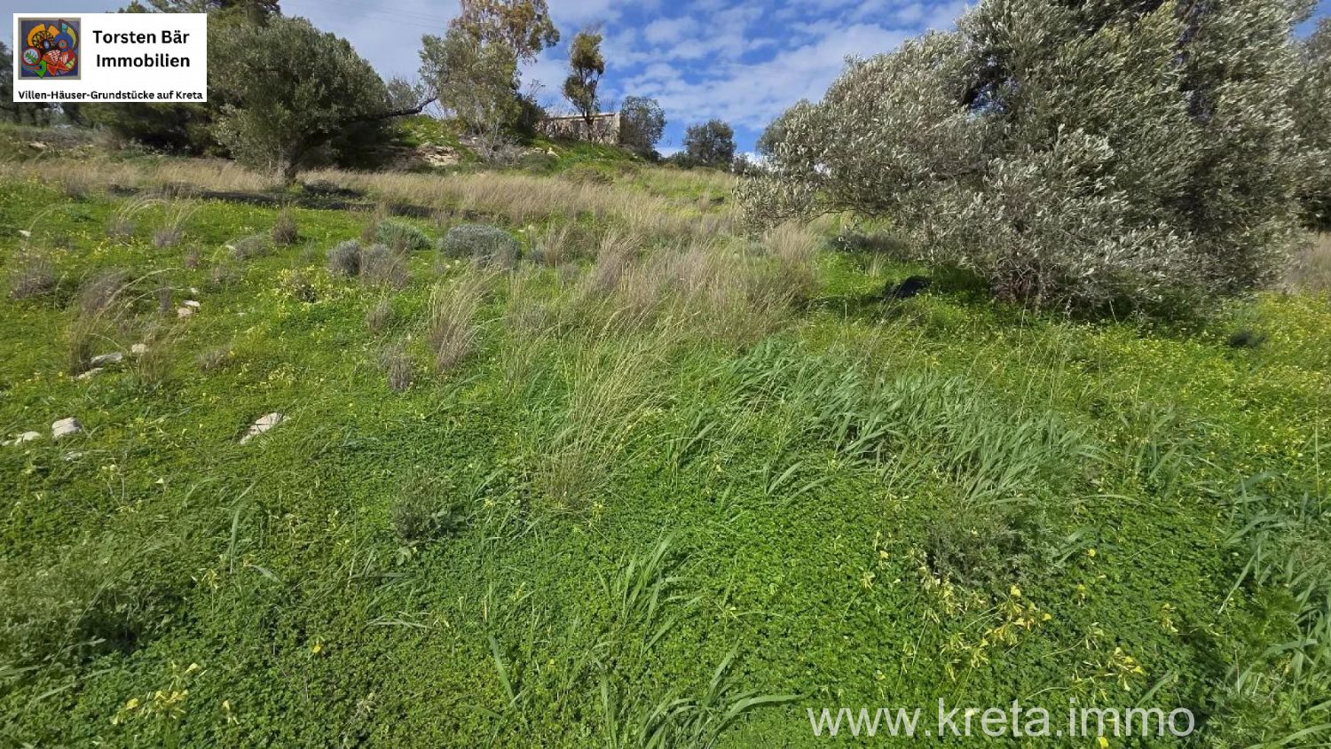 Foto der Immobilie (82810)