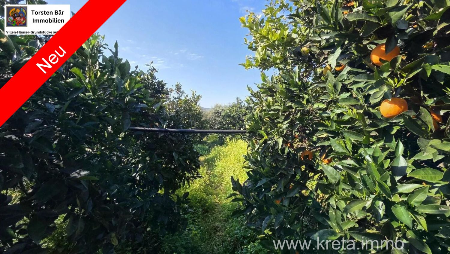 Foto der Immobilie (82814)