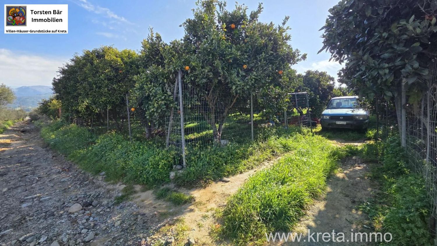 Foto der Immobilie (82819)