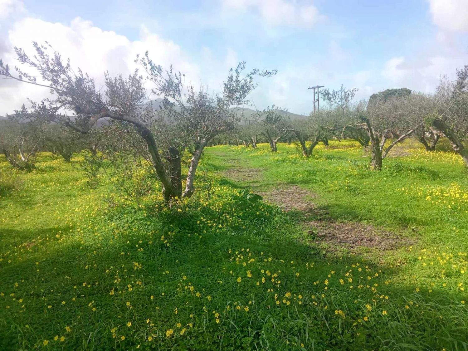 Foto der Immobilie (82827)