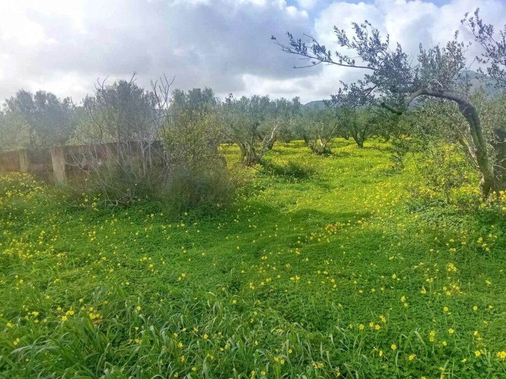 Foto der Immobilie (82824)