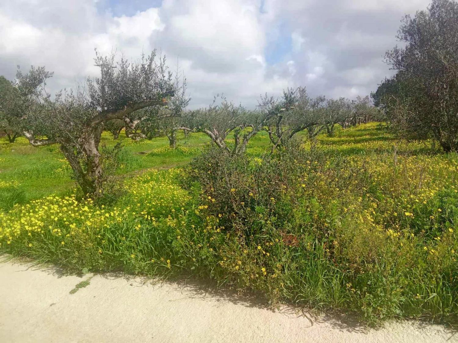 Foto der Immobilie (82828)