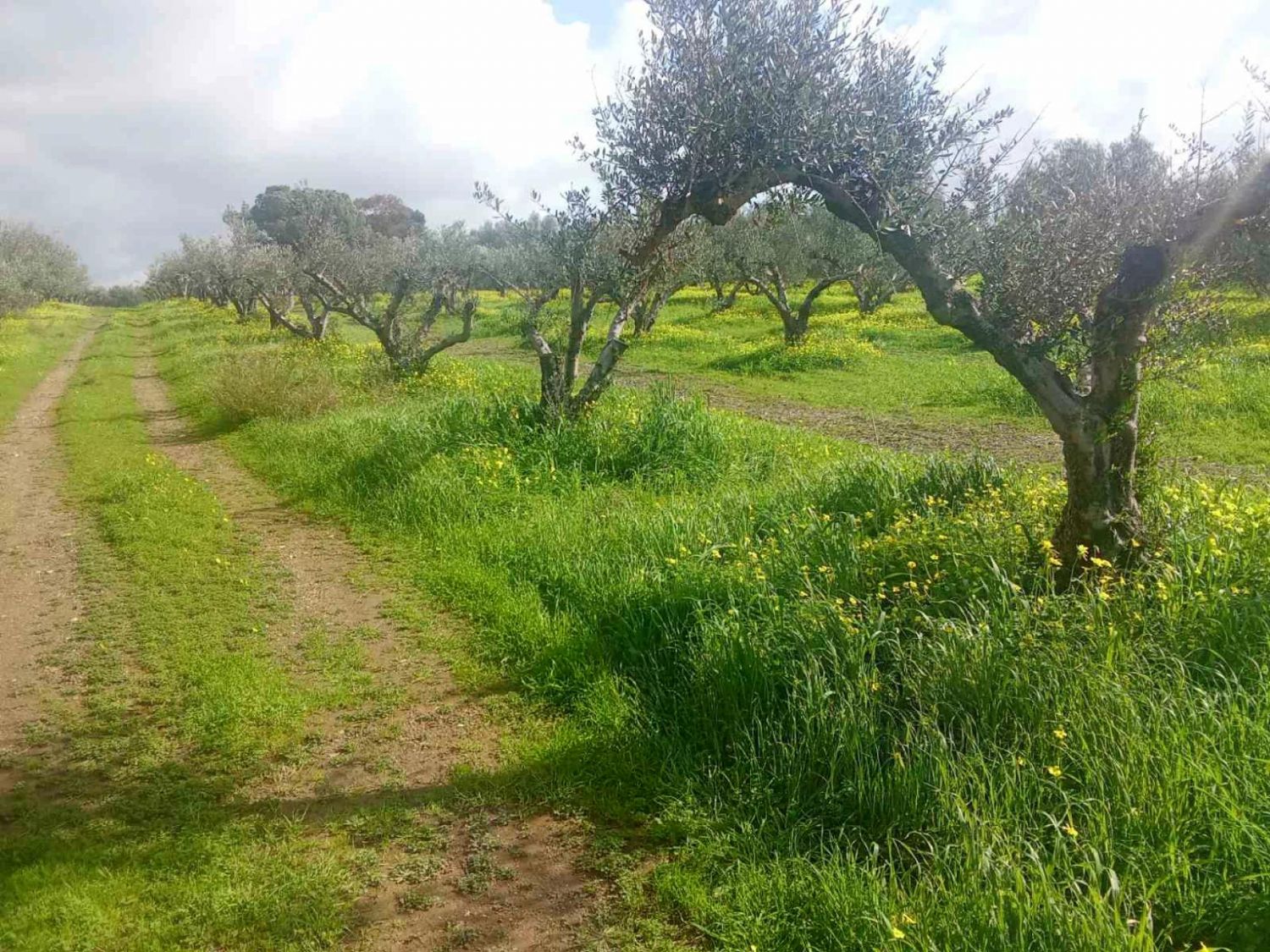 Foto der Immobilie (82829)