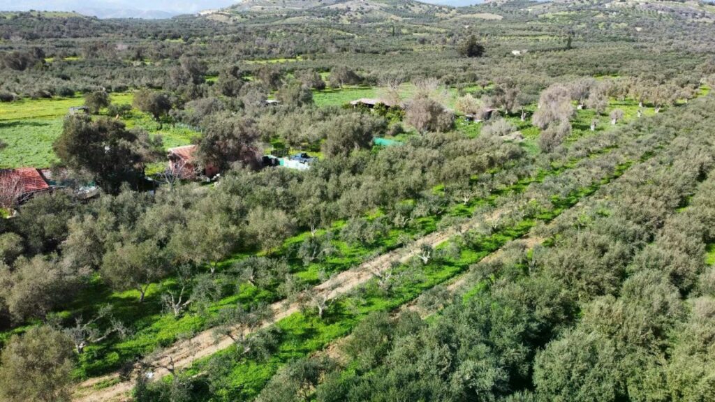 Foto der Immobilie (82833)