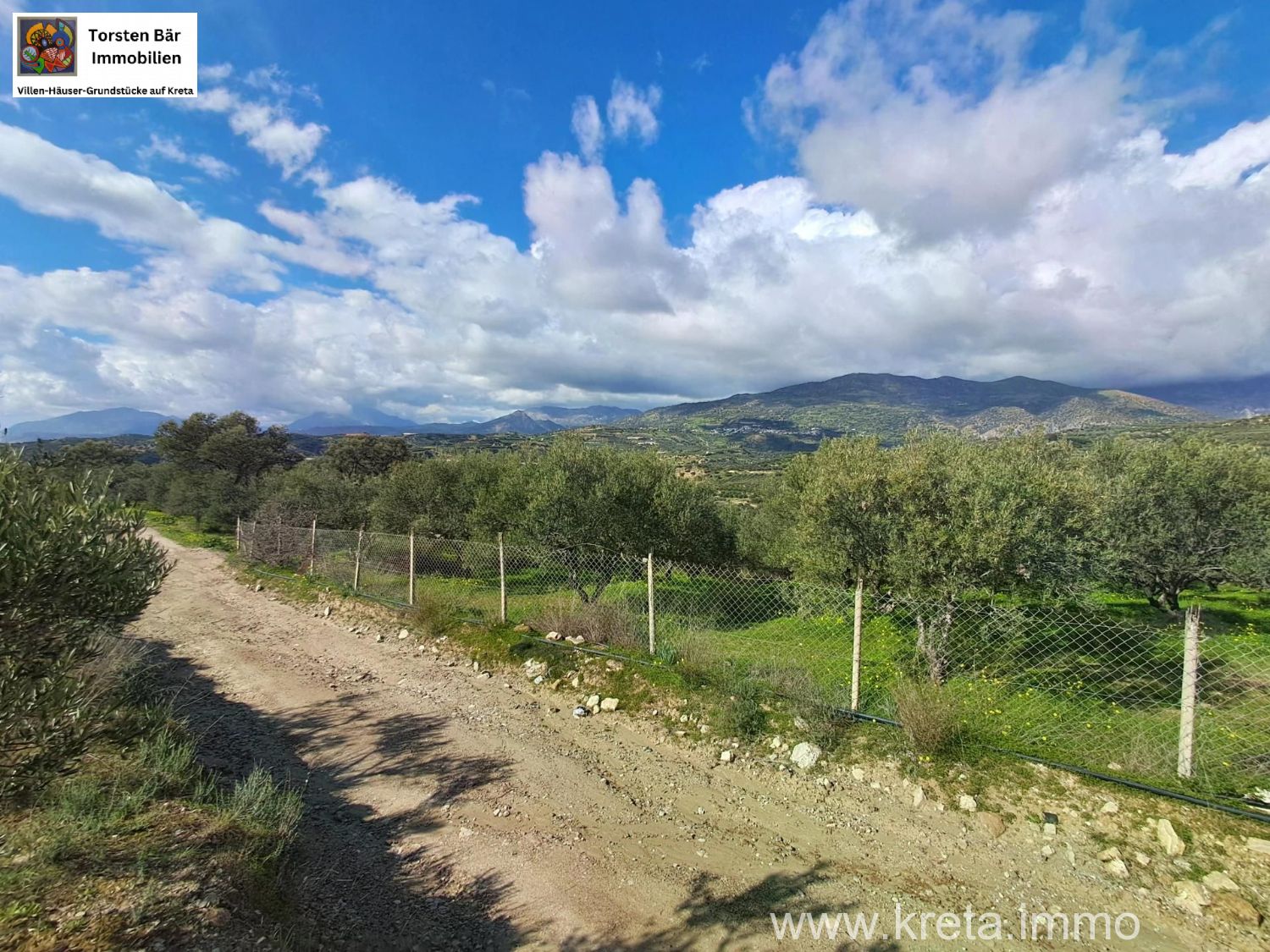 Foto der Immobilie (82878)