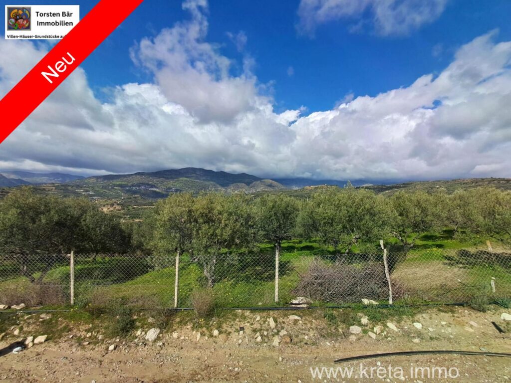 Foto der Immobilie (82876)