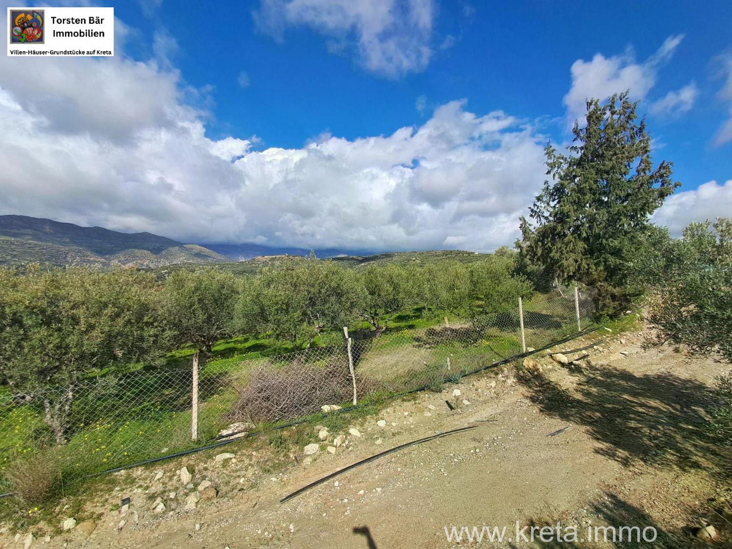 Foto der Immobilie (82879)