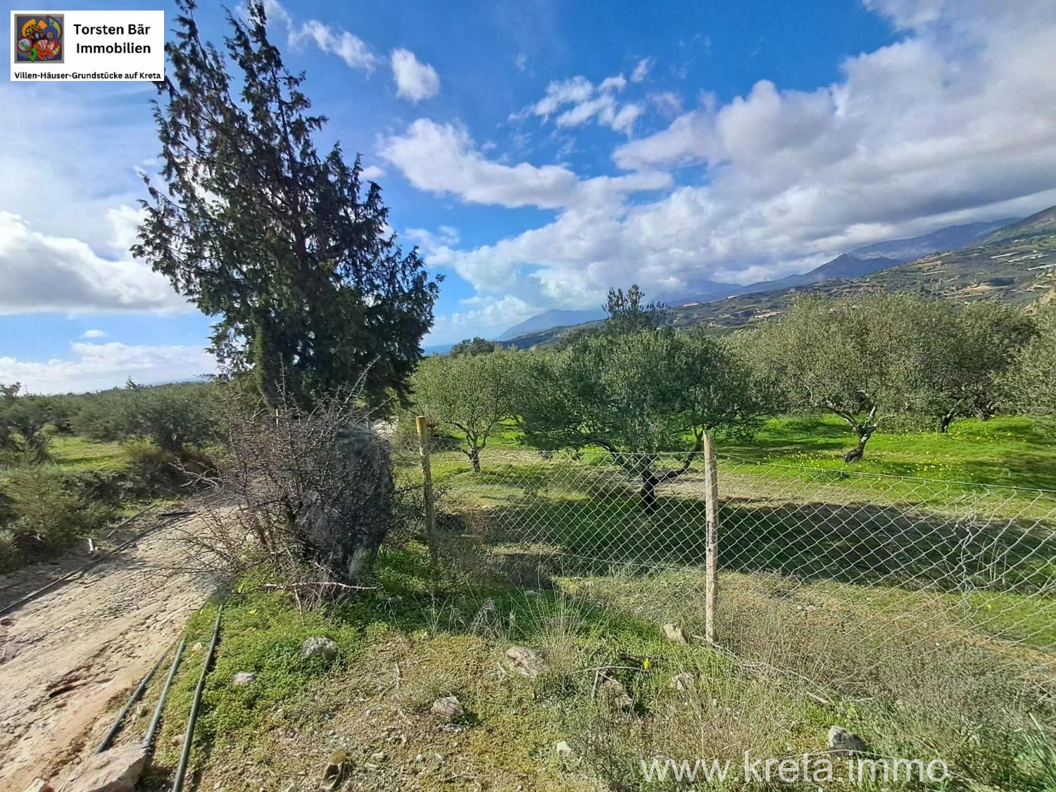 Foto der Immobilie (82880)