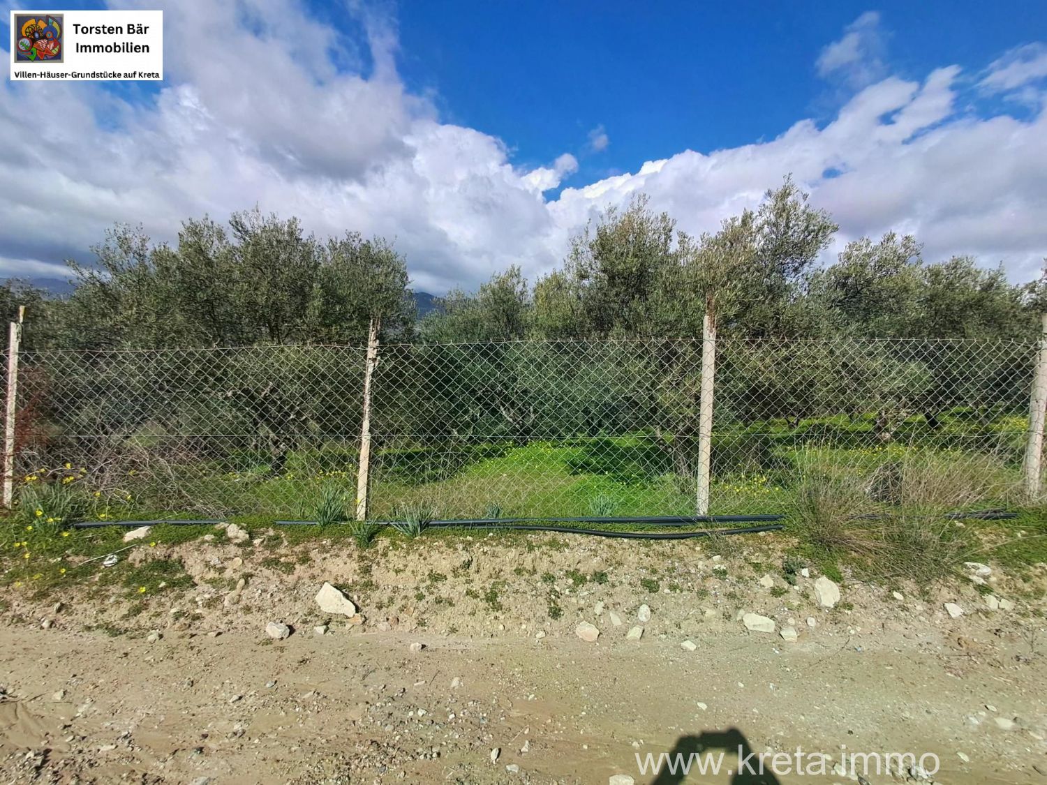 Foto der Immobilie (82881)