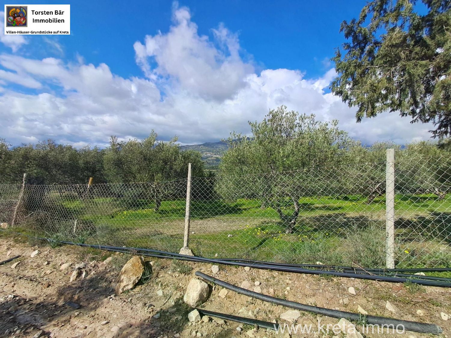 Foto der Immobilie (82882)