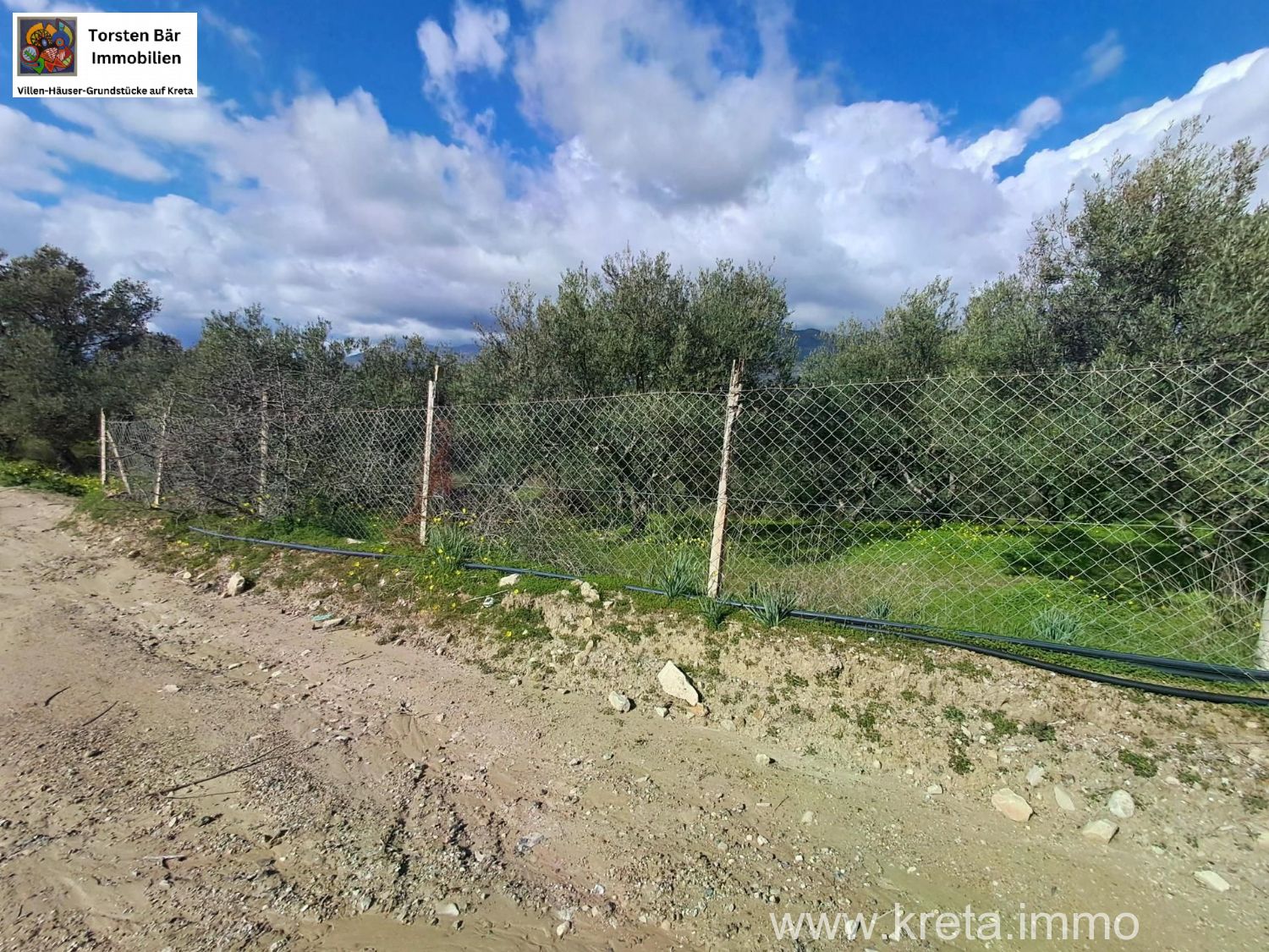 Foto der Immobilie (82883)