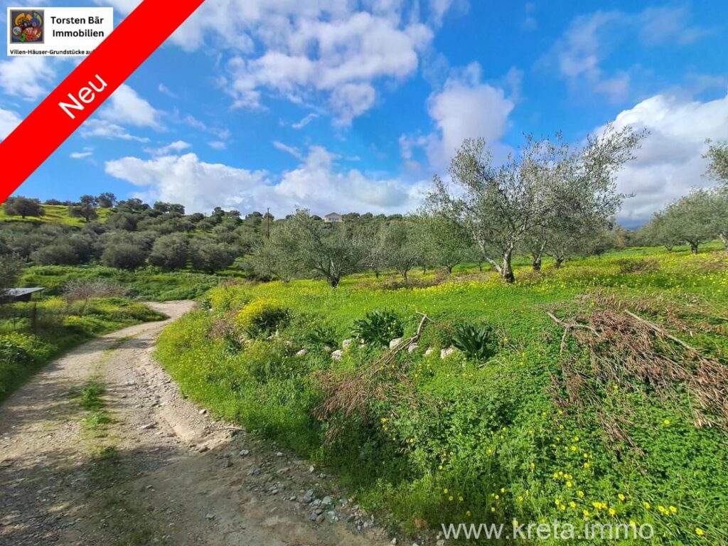 Foto der Immobilie (82855)