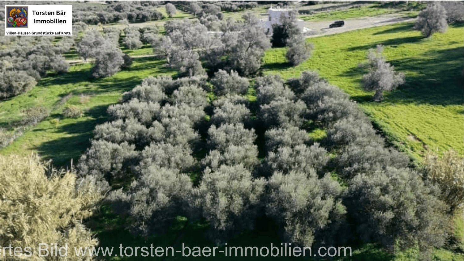Foto der Immobilie (92062)