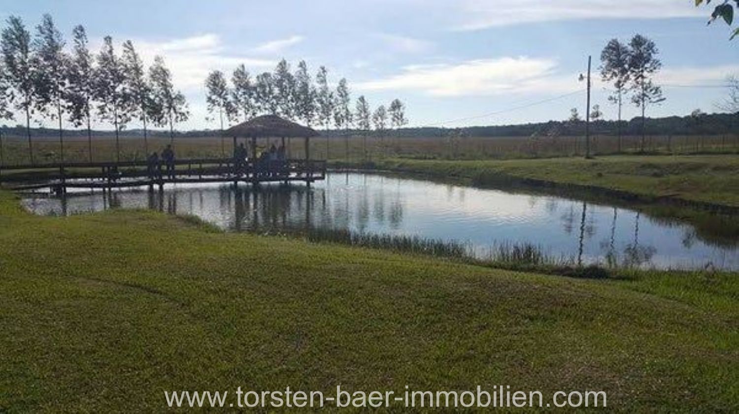 Foto der Immobilie (92411)